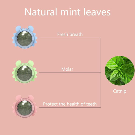 Self-Licking Catnip Ball